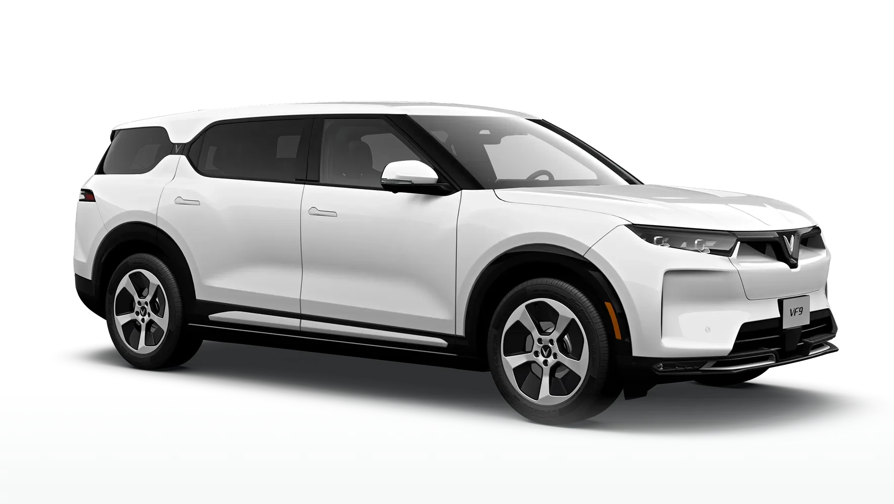 Xe Taxi Long Xuyên Đi Rừng Tràm Trà Sư (Tịnh Biên)